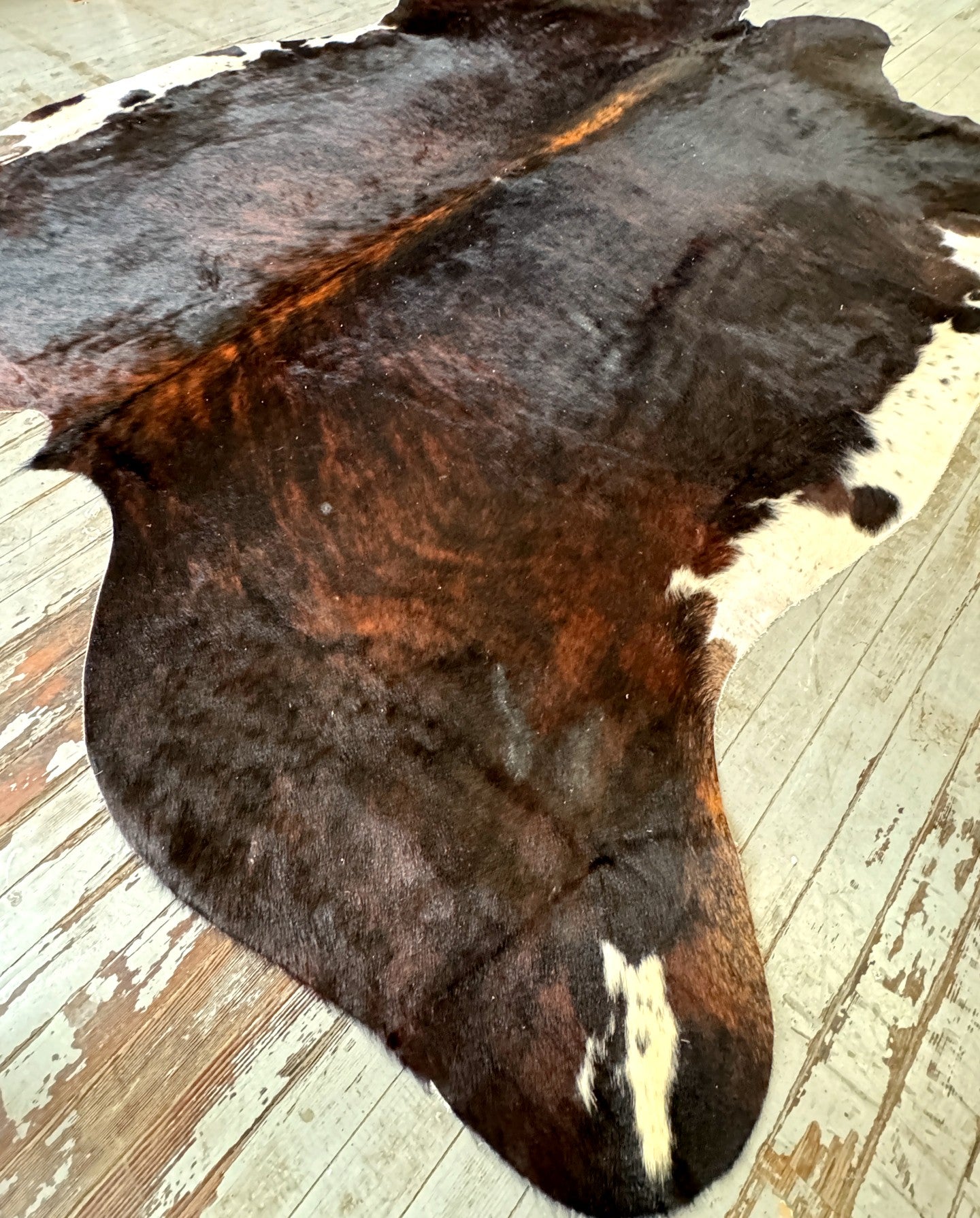 Dark Brindle Cowhide Rug #3100