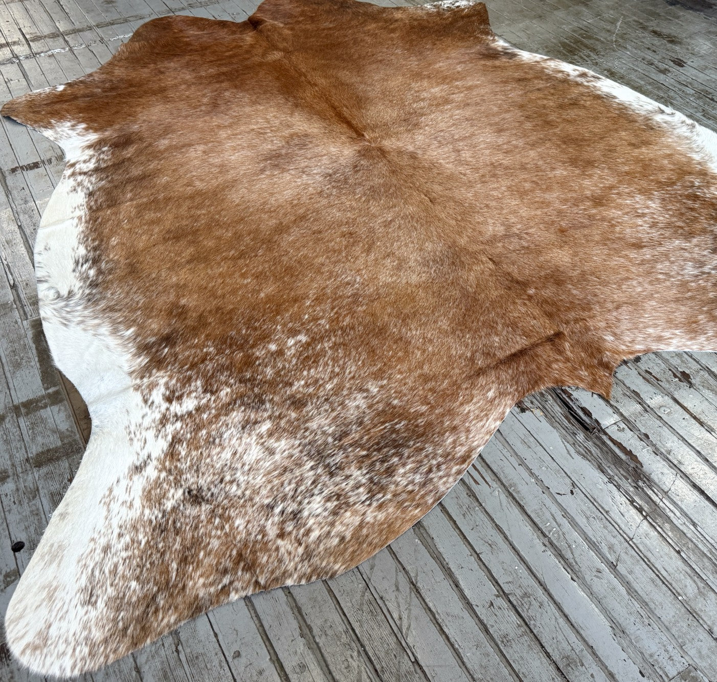 Reddish Brown Cowhide Rug #3122