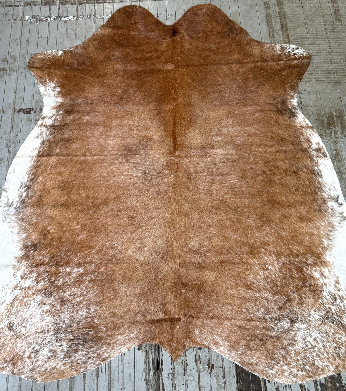 Reddish Brown Cowhide Rug #3122