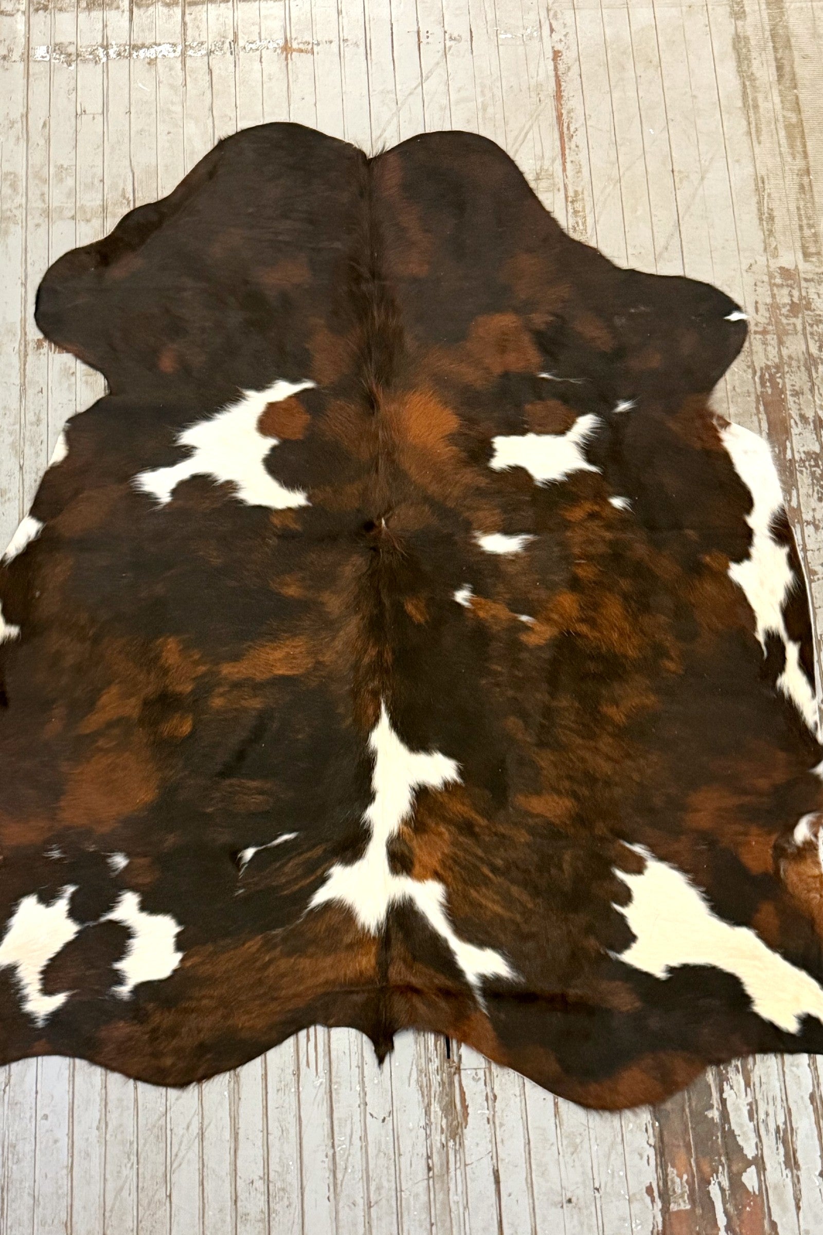 Tricolor Spotted Cowhide Rug #3125