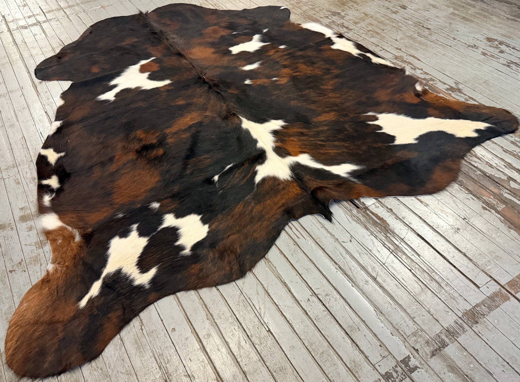 Tricolor Spotted Cowhide Rug #3125