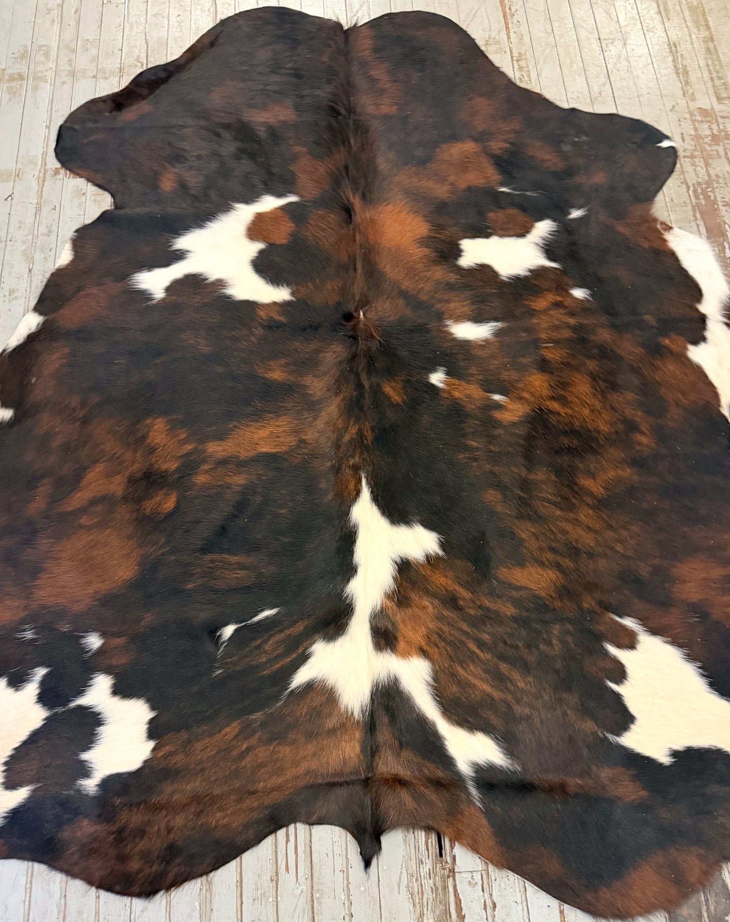 Tricolor Spotted Cowhide Rug #3125