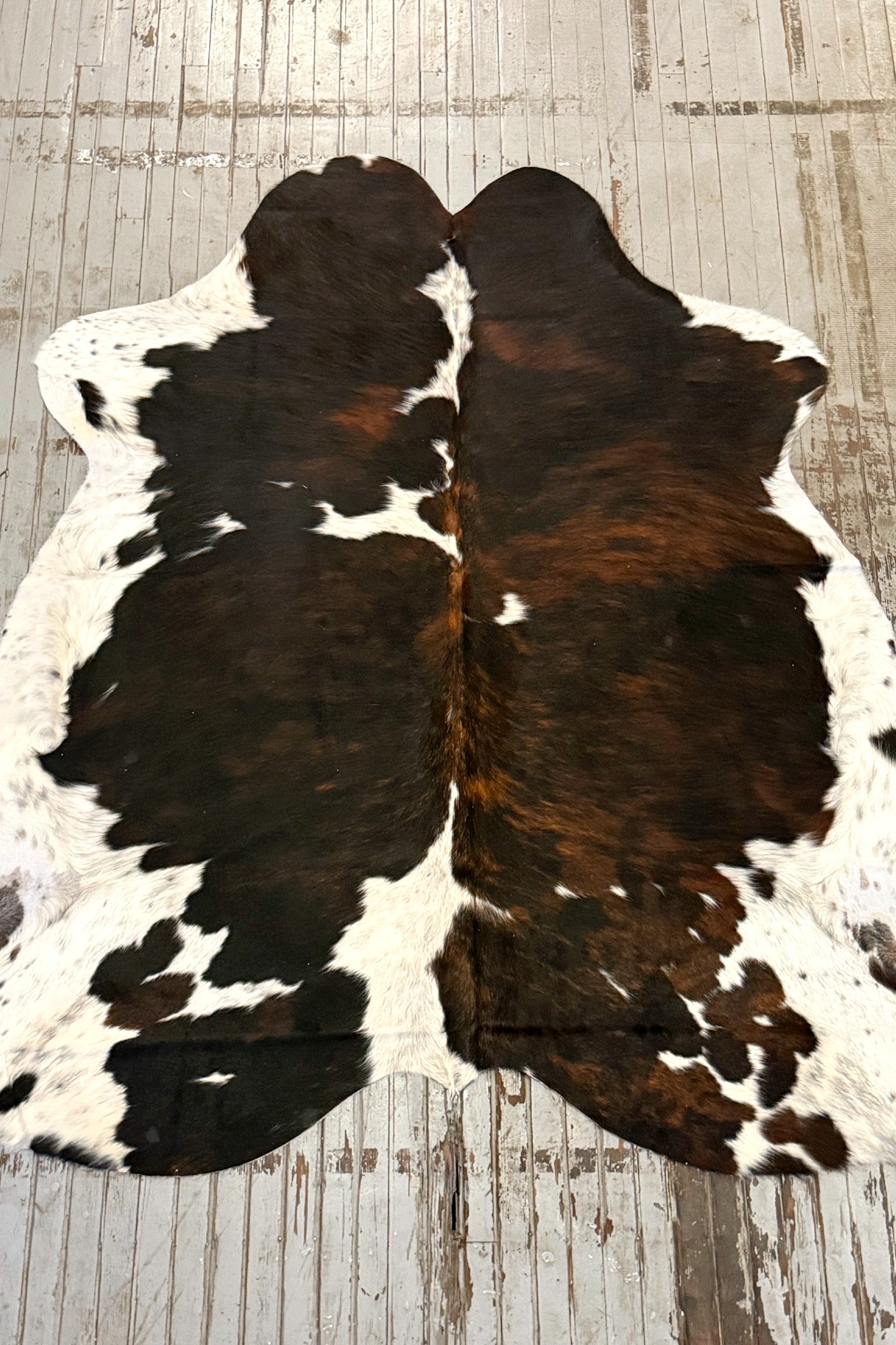 Tricolor Spotted Cowhide Rug #3126
