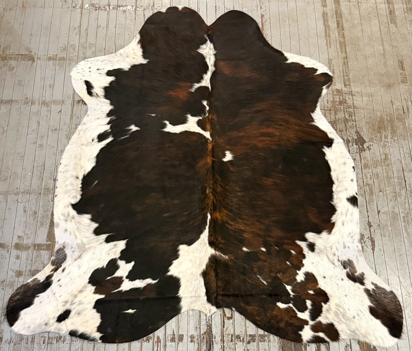 Tricolor Spotted Cowhide Rug #3126