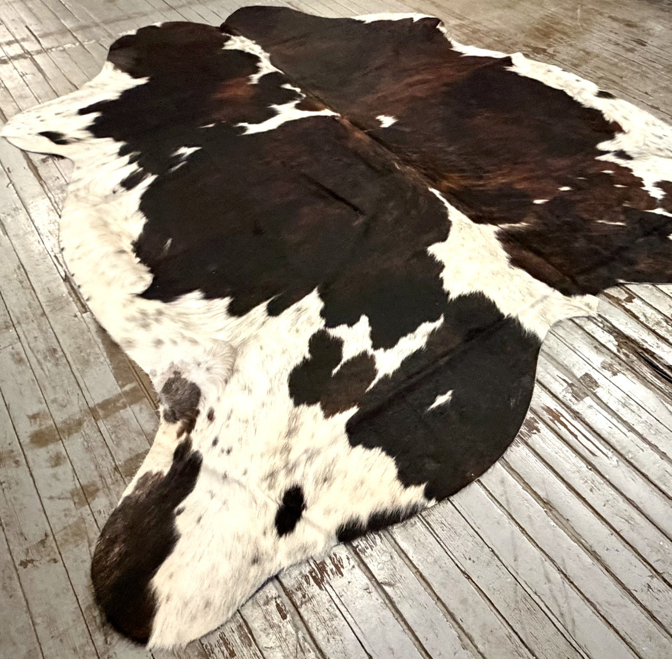 Tricolor Spotted Cowhide Rug #3126