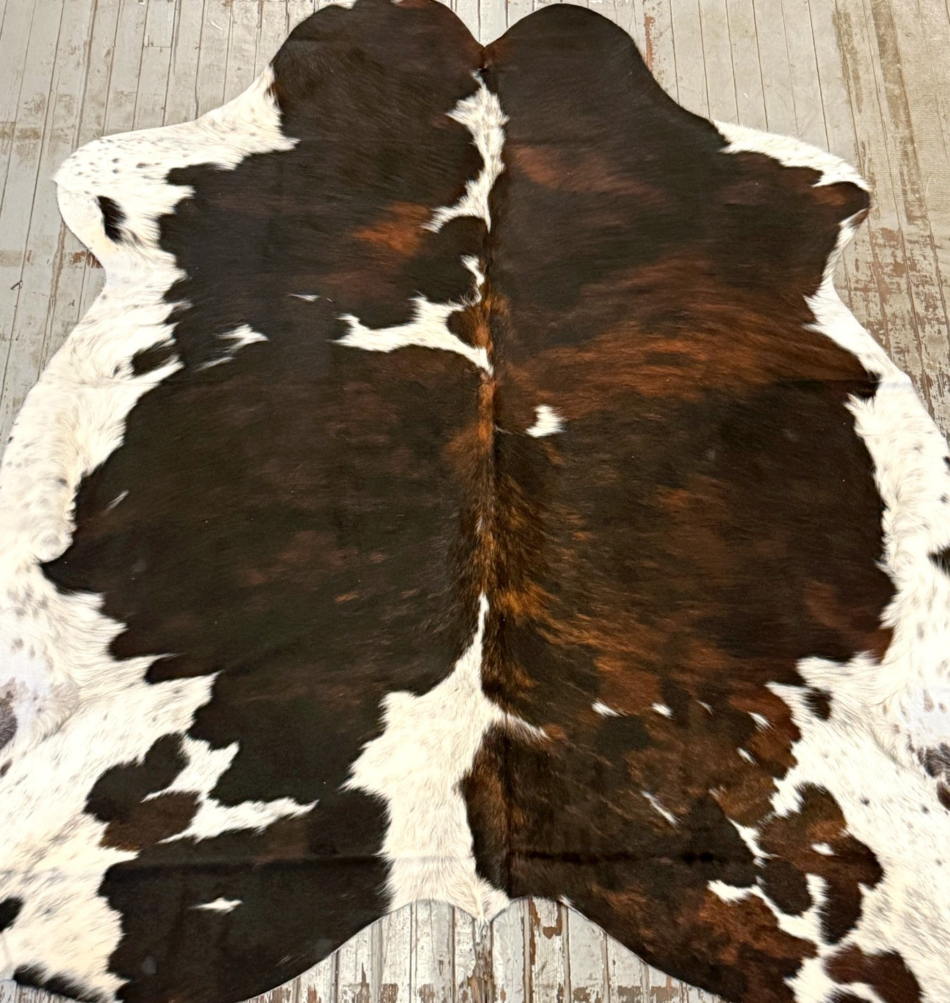 Tricolor Spotted Cowhide Rug #3126