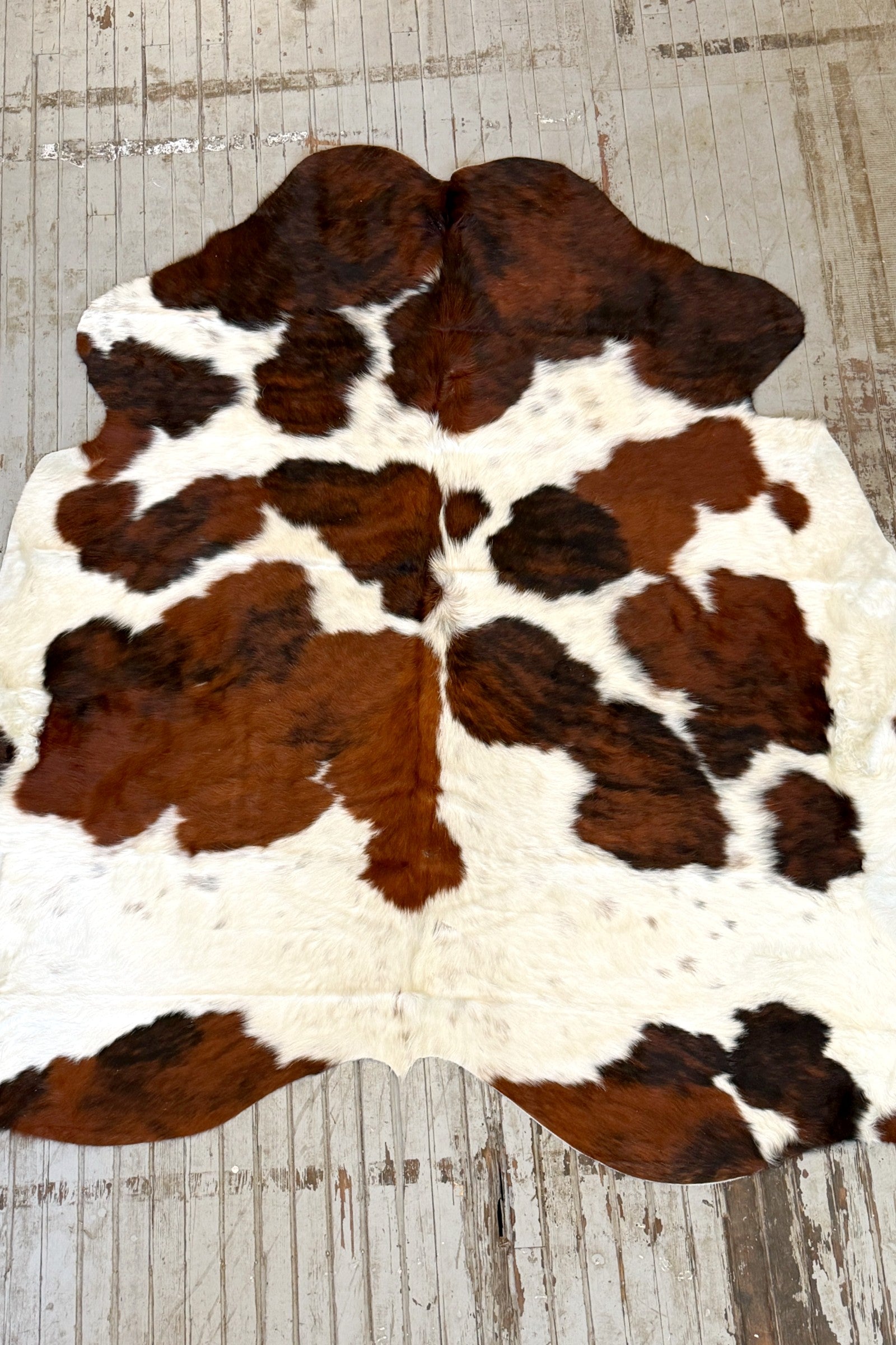 Tricolor Spotted Cowhide Rug #3127