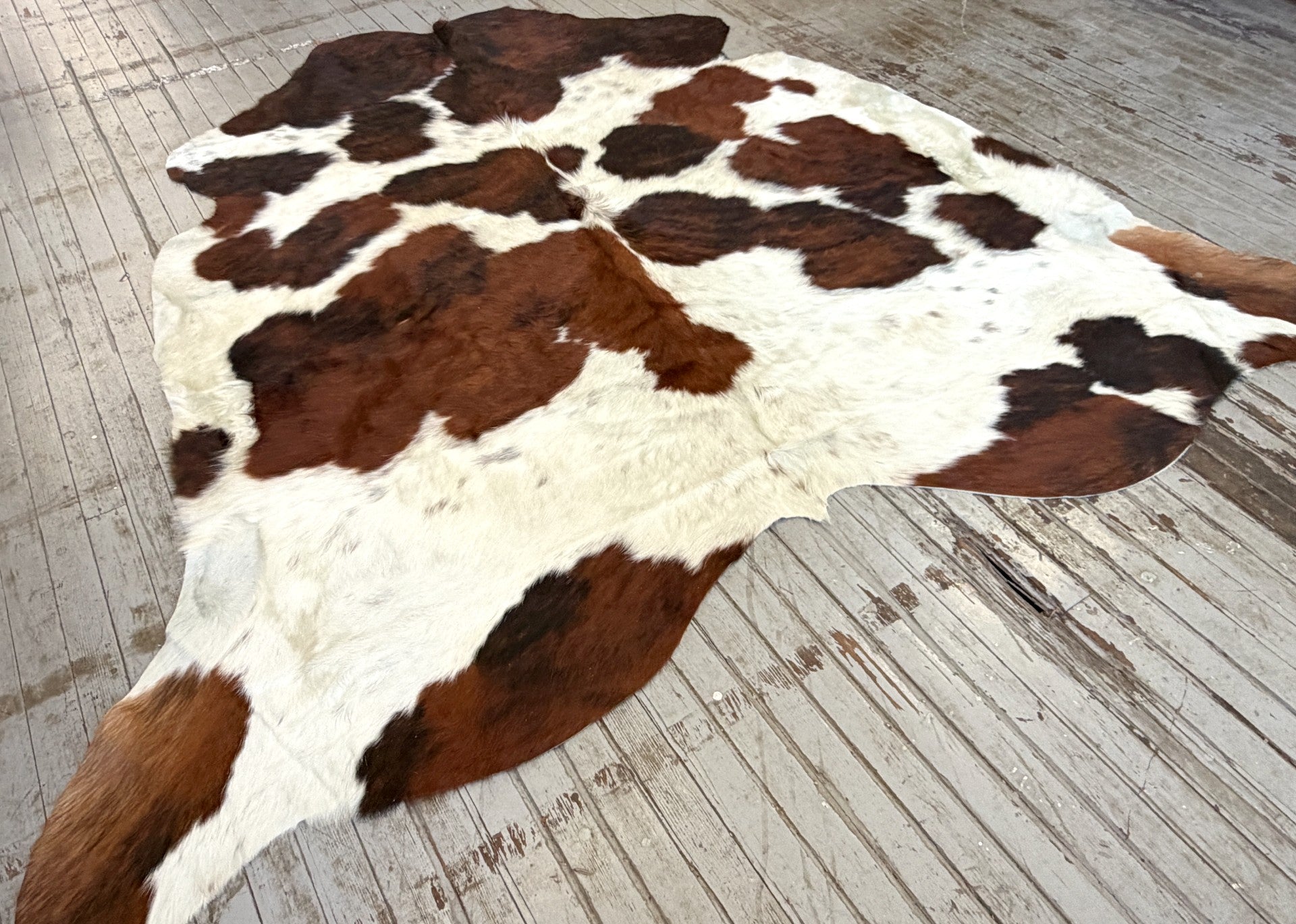 Tricolor Spotted Cowhide Rug #3127
