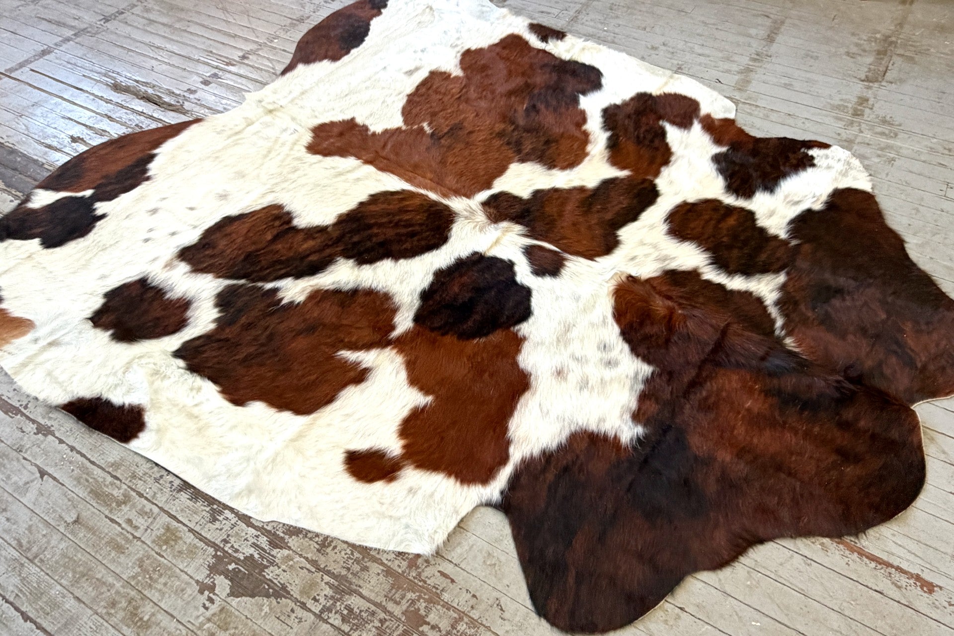 Tricolor Spotted Cowhide Rug #3127