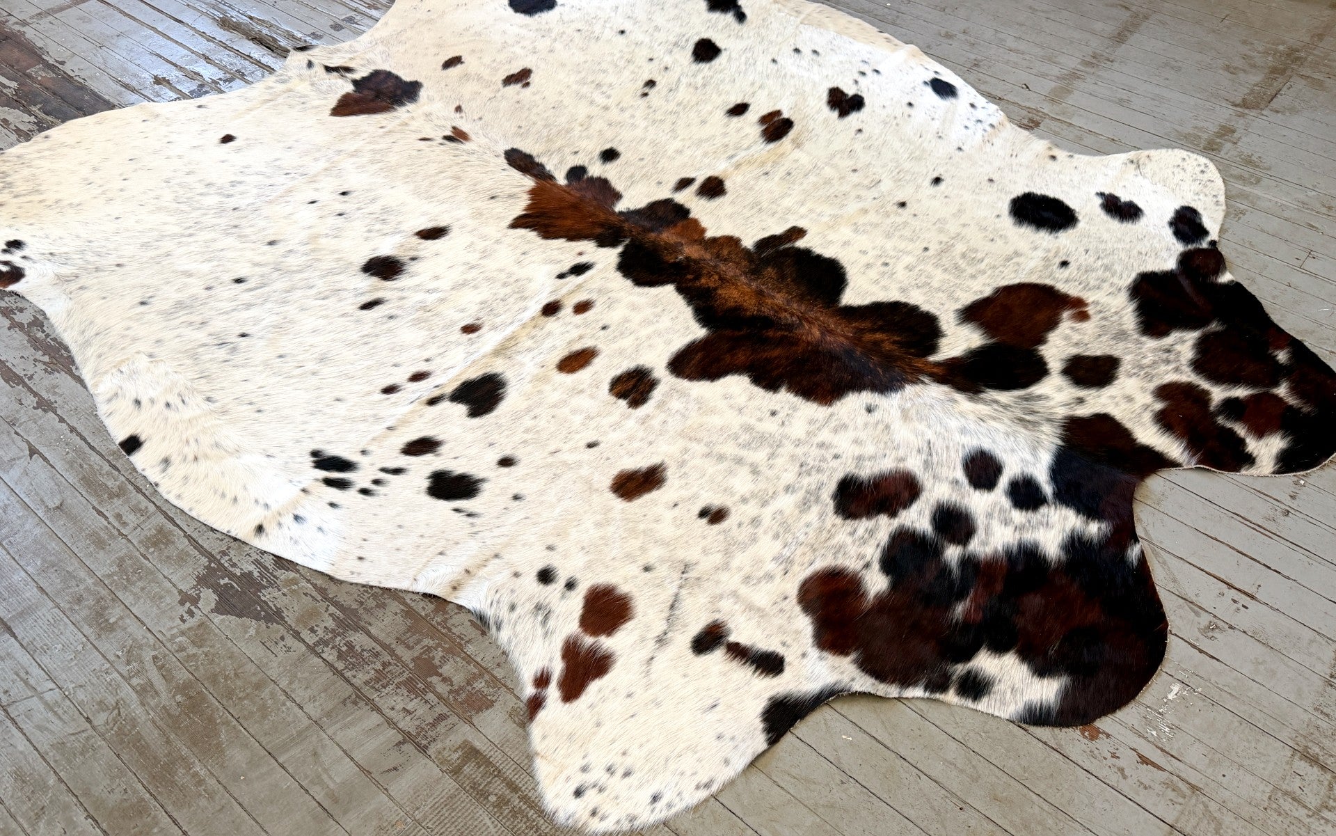 Tricolor Spotted Cowhide Rug #3128