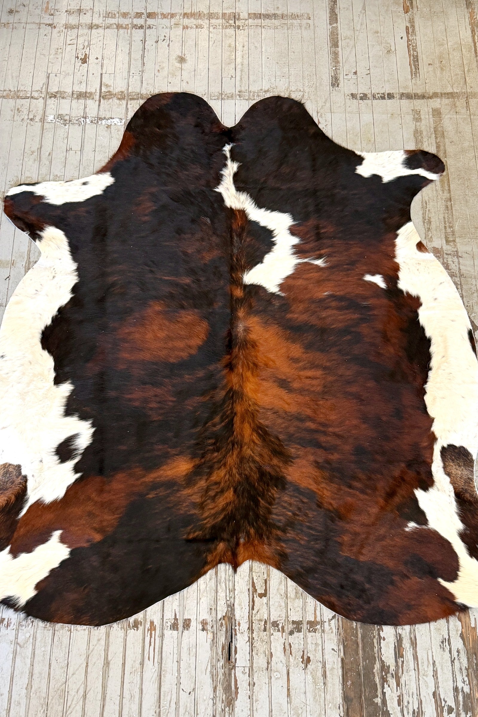 Tricolor Cowhide Rug #3129