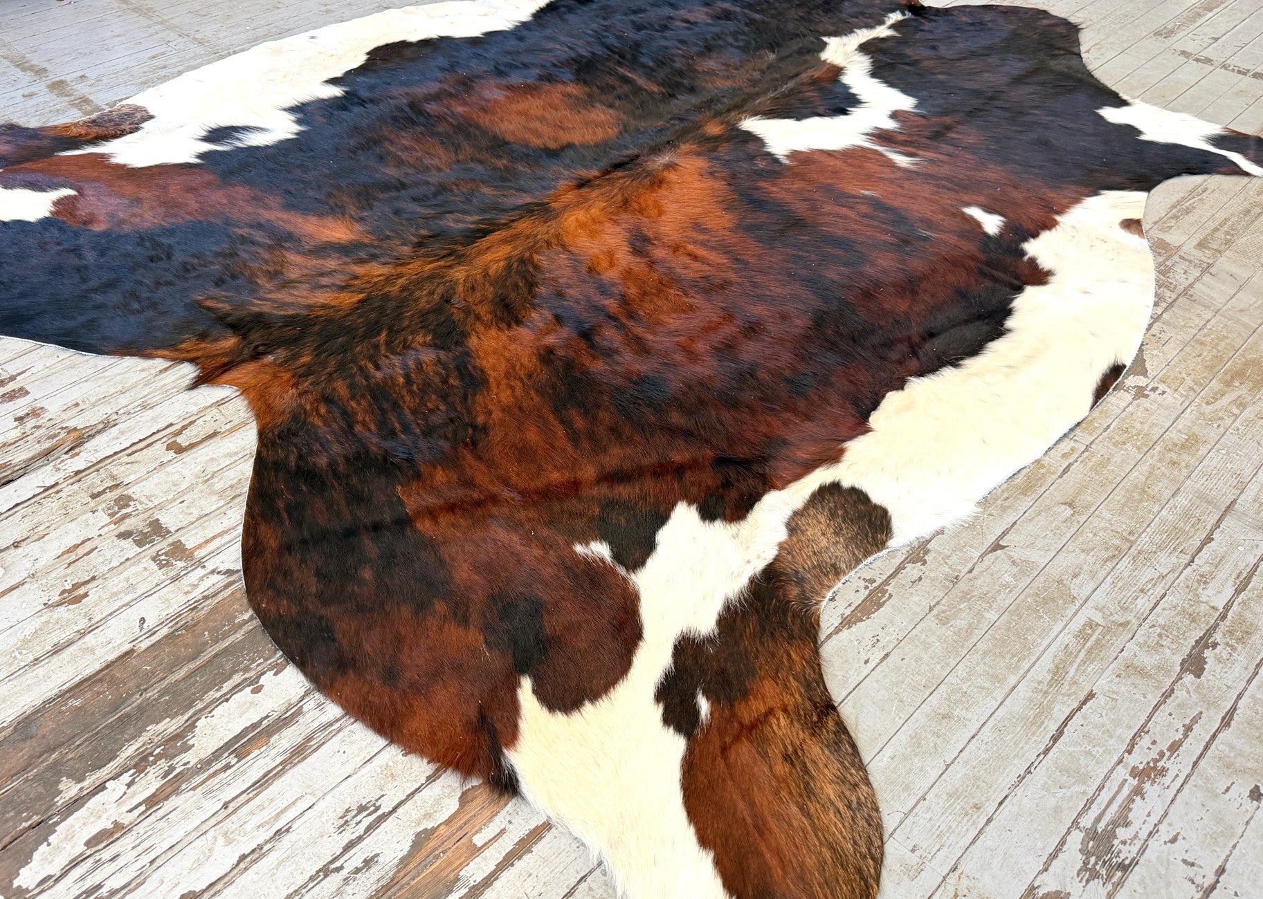 Tricolor Cowhide Rug #3129