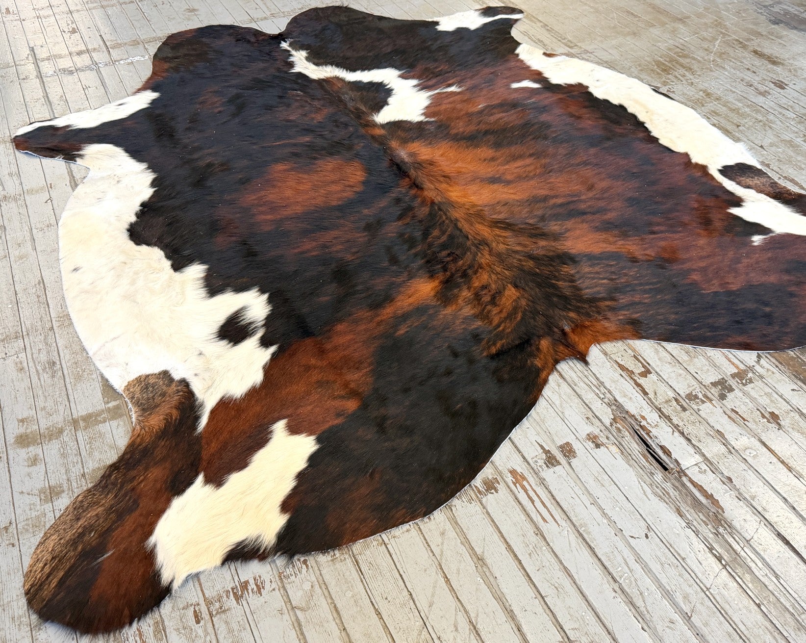 Tricolor Cowhide Rug #3129