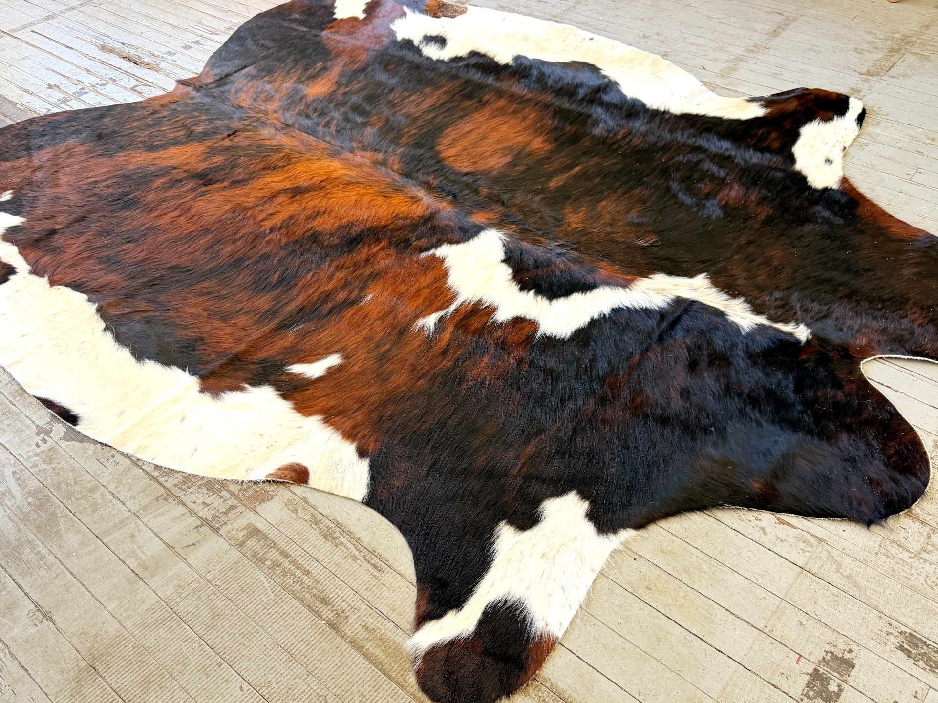 Tricolor Cowhide Rug #3129