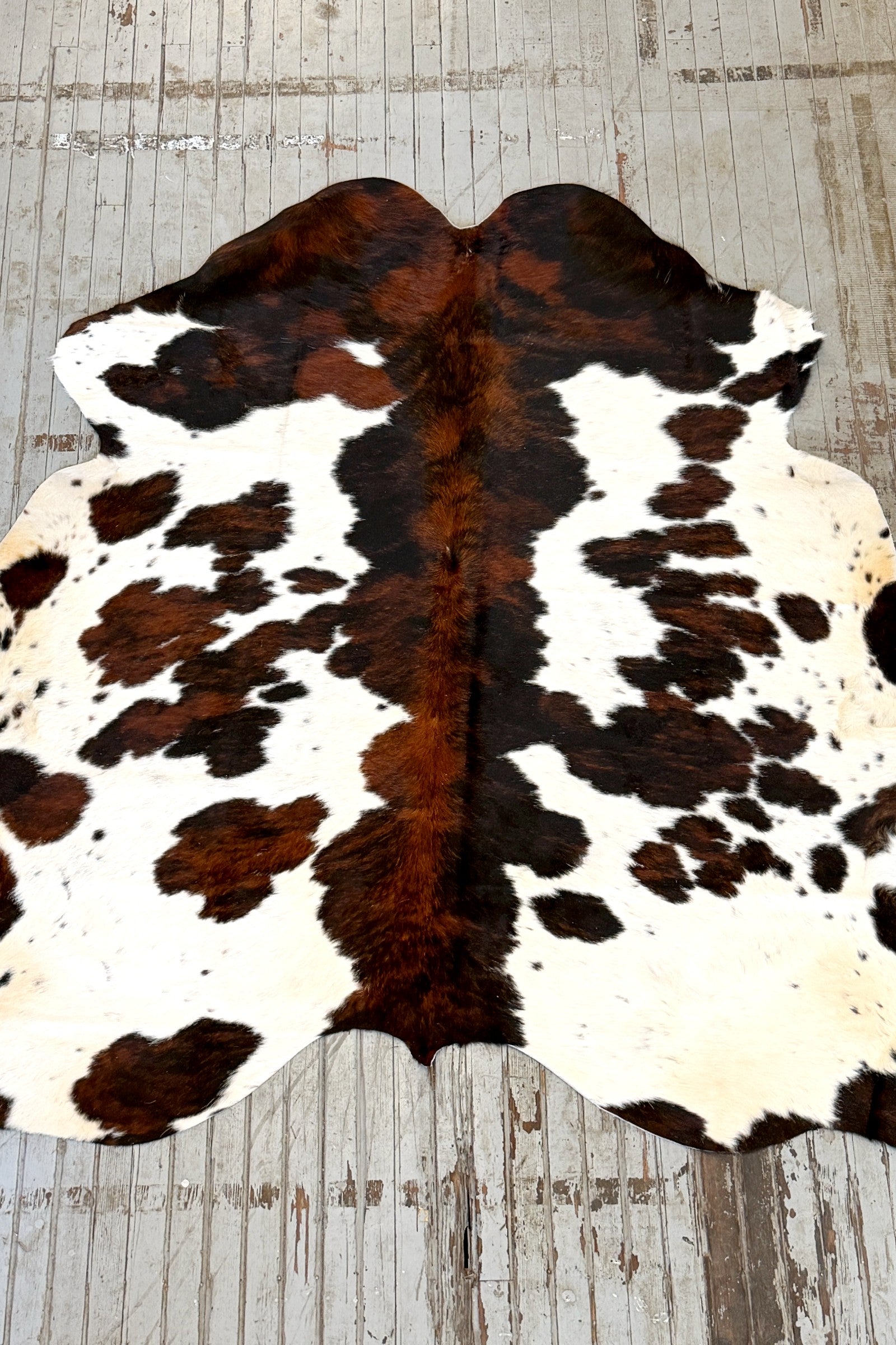 Tricolor Spotted Cowhide Rug #3134