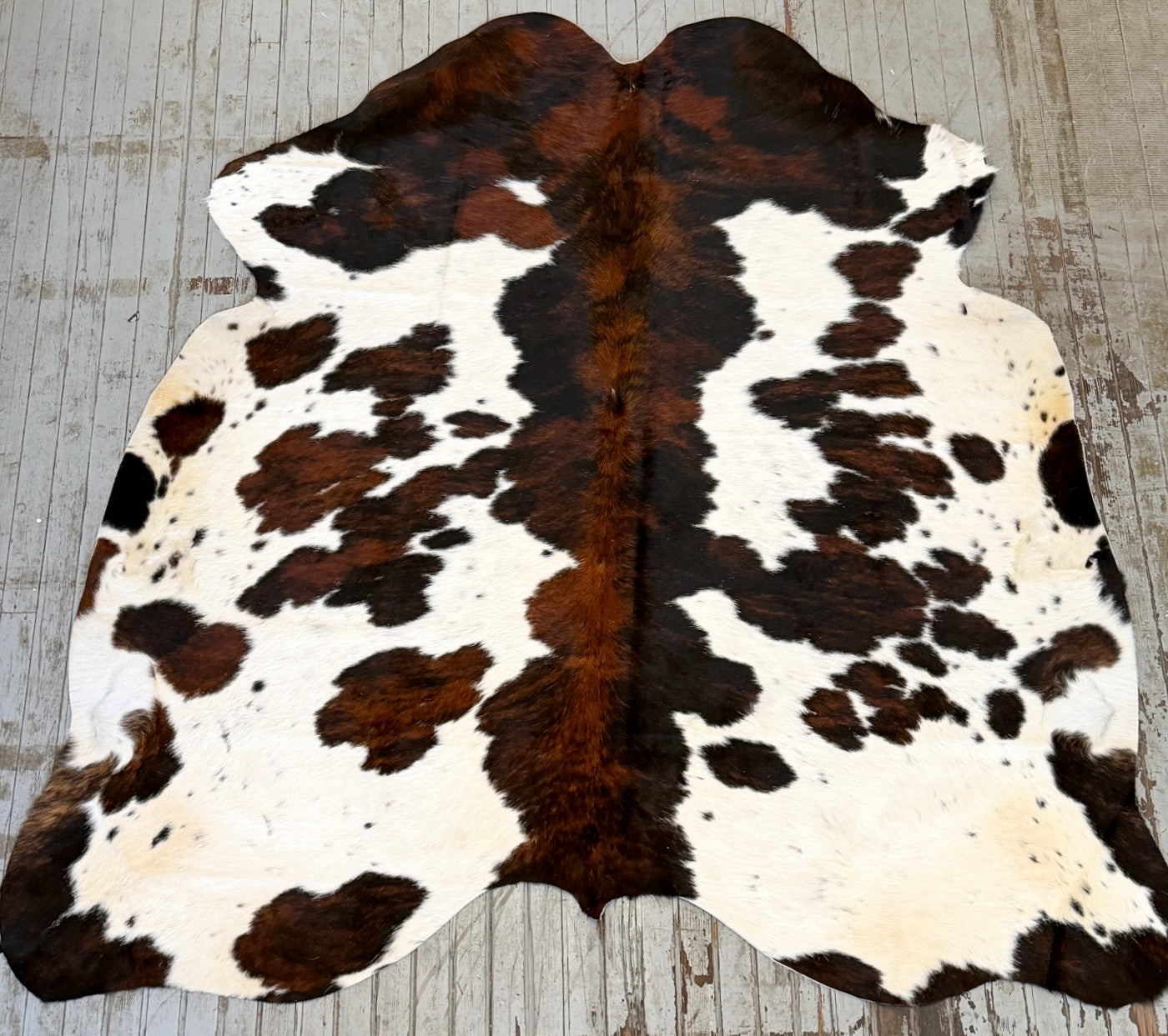 Tricolor Spotted Cowhide Rug #3134