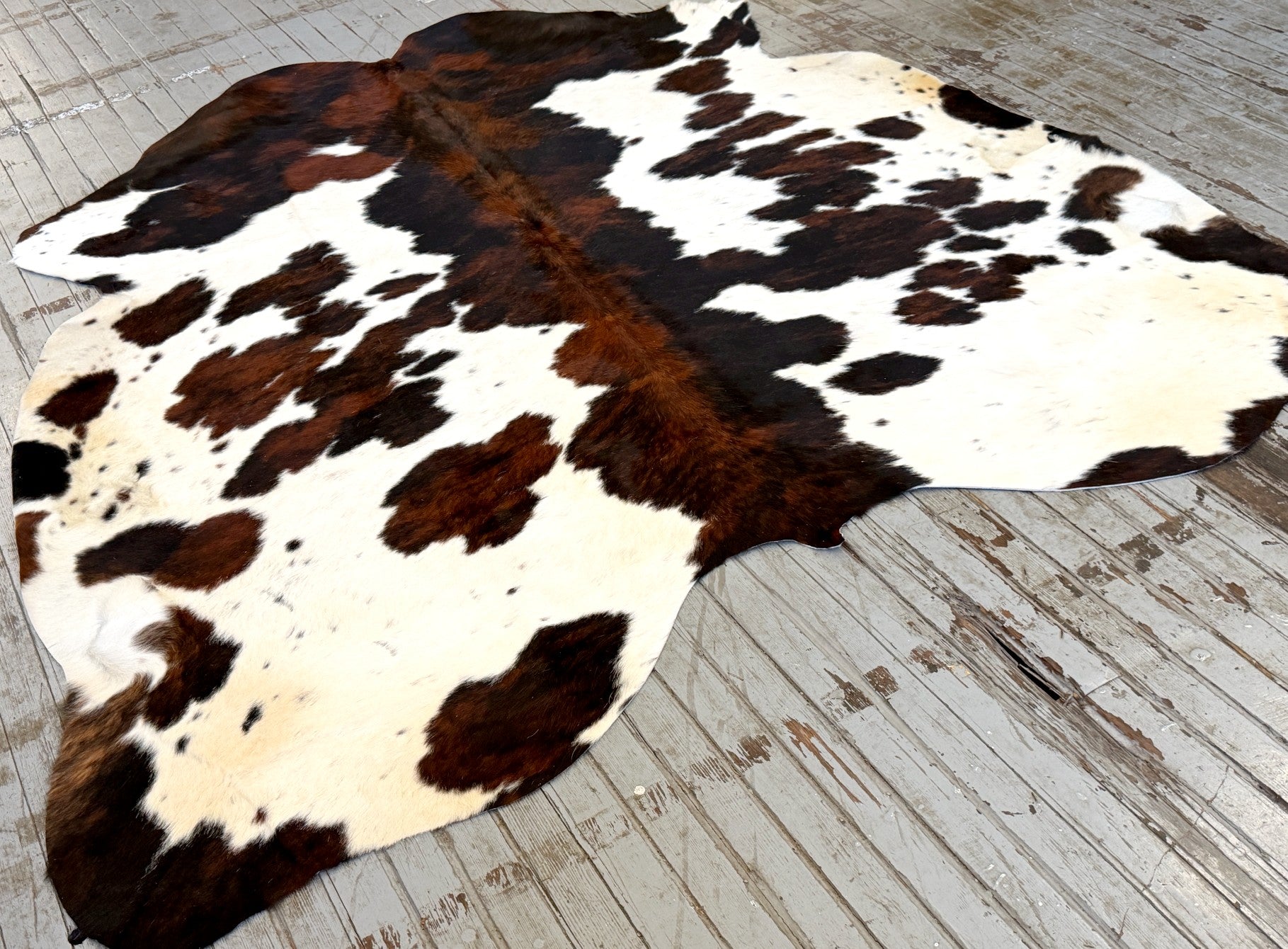 Tricolor Spotted Cowhide Rug #3134