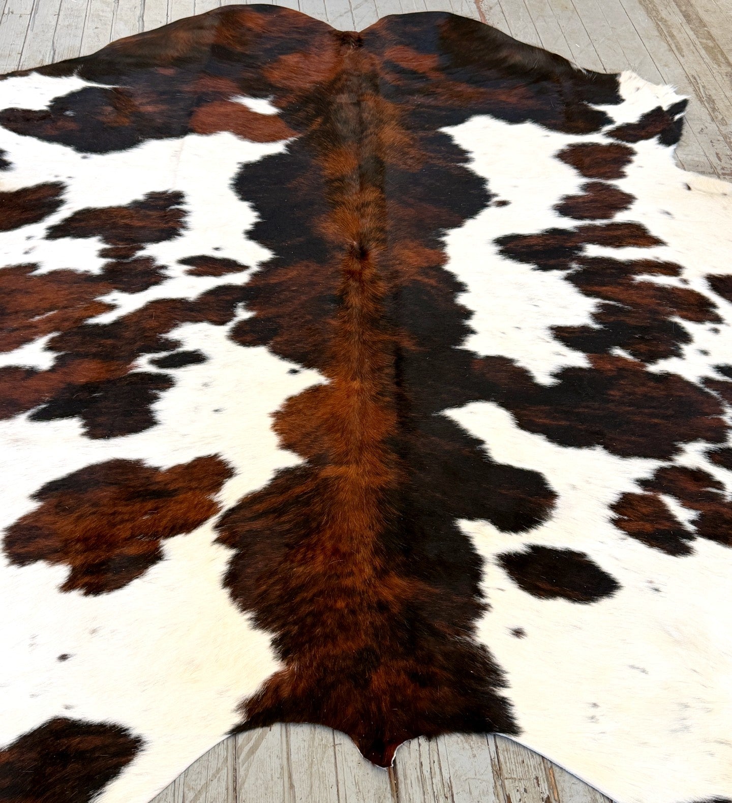 Tricolor Spotted Cowhide Rug #3134