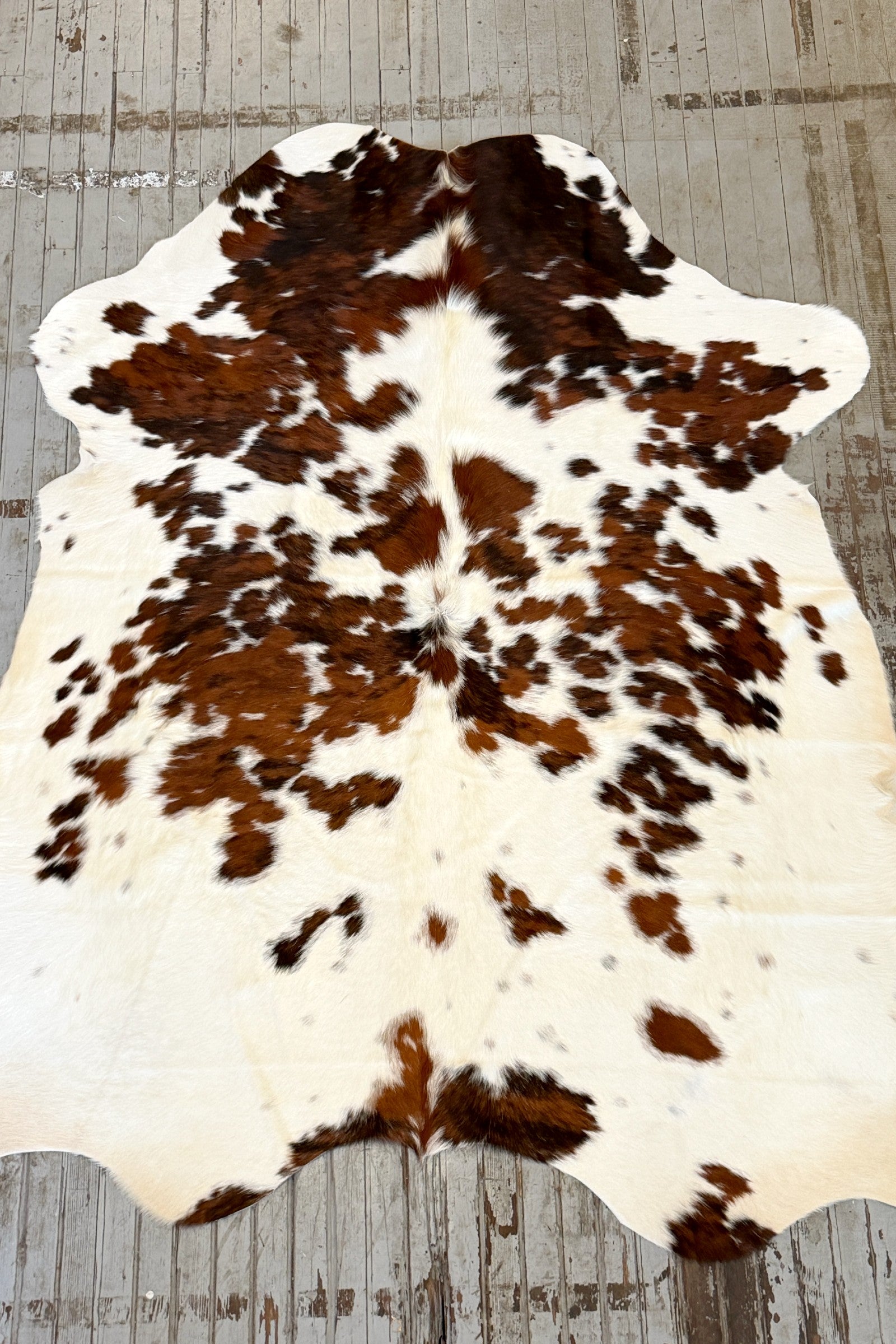 Tricolor Spotted Cowhide Rug #3136