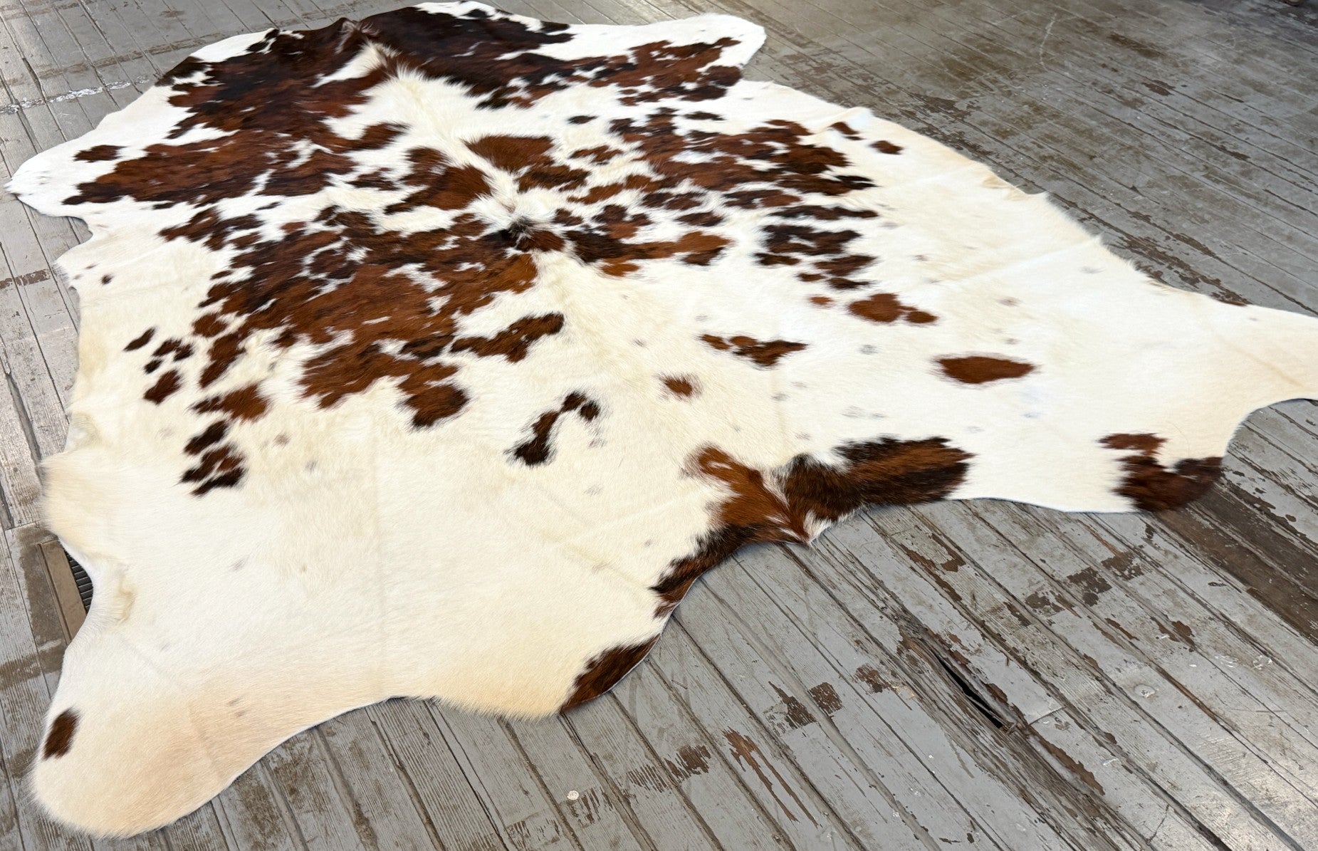 Tricolor Spotted Cowhide Rug #3136