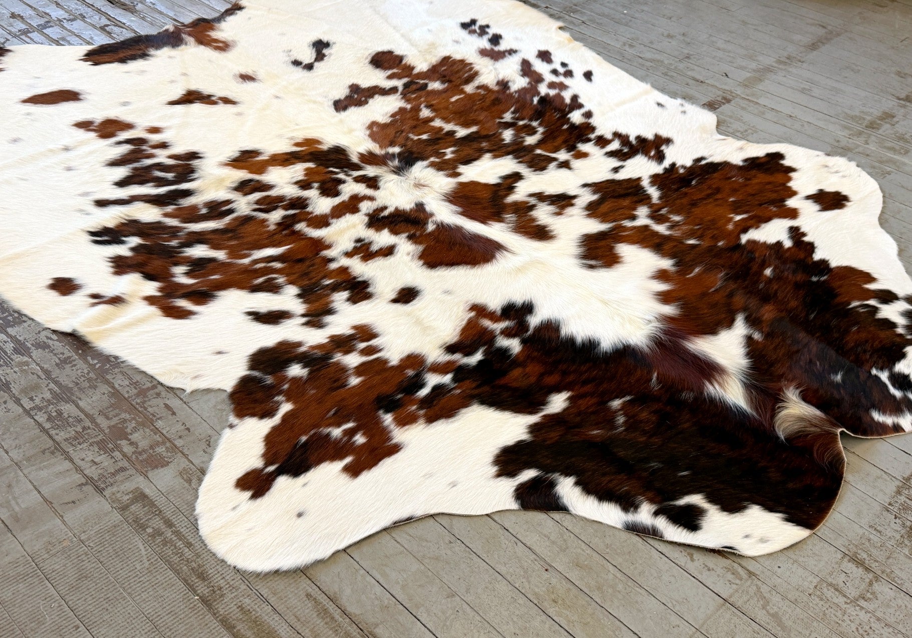 Tricolor Spotted Cowhide Rug #3136