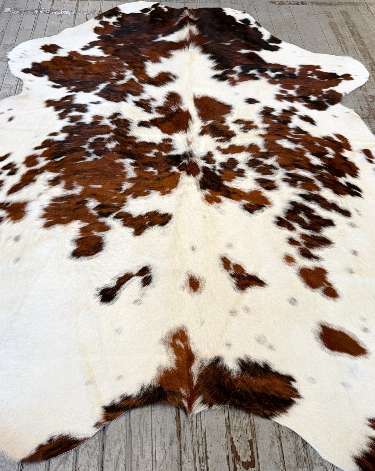 Tricolor Spotted Cowhide Rug #3136