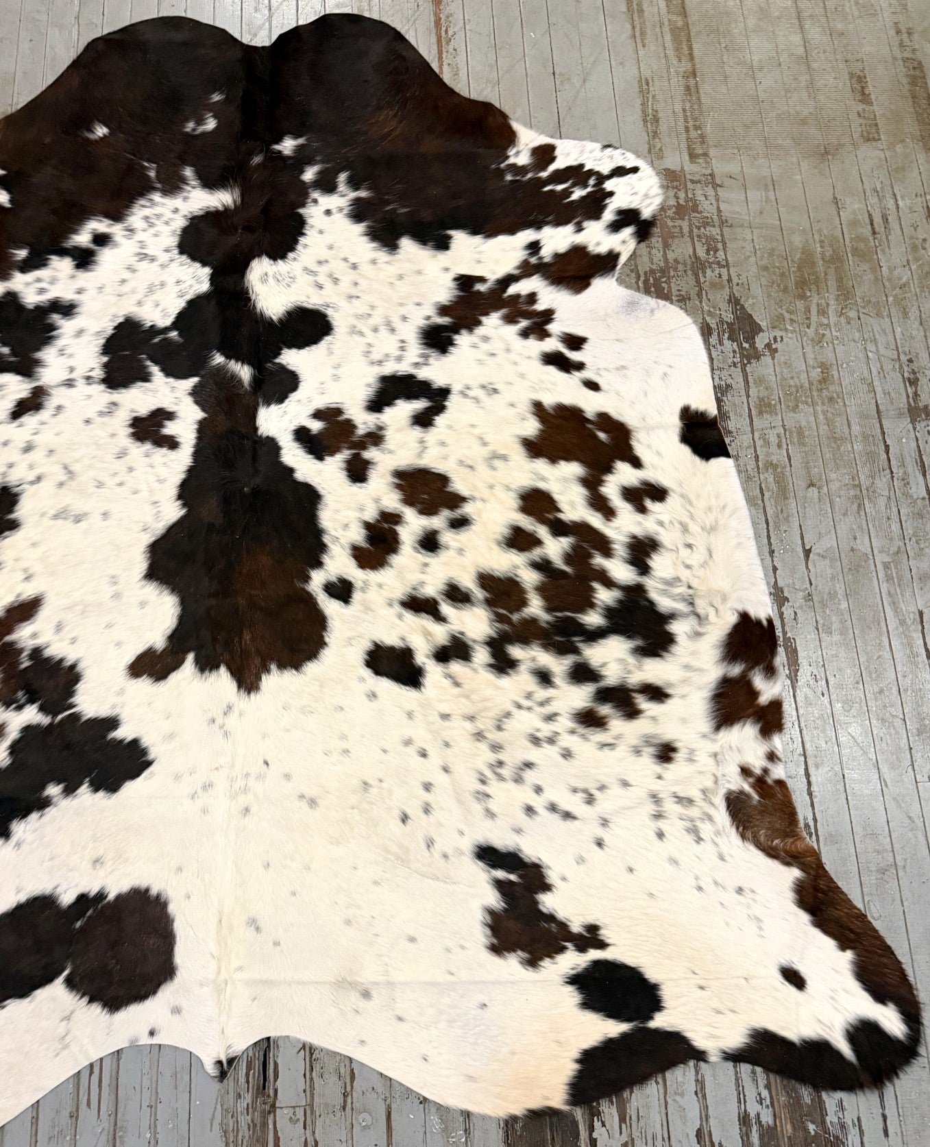 Tricolor Spotted Cowhide Rug #3138