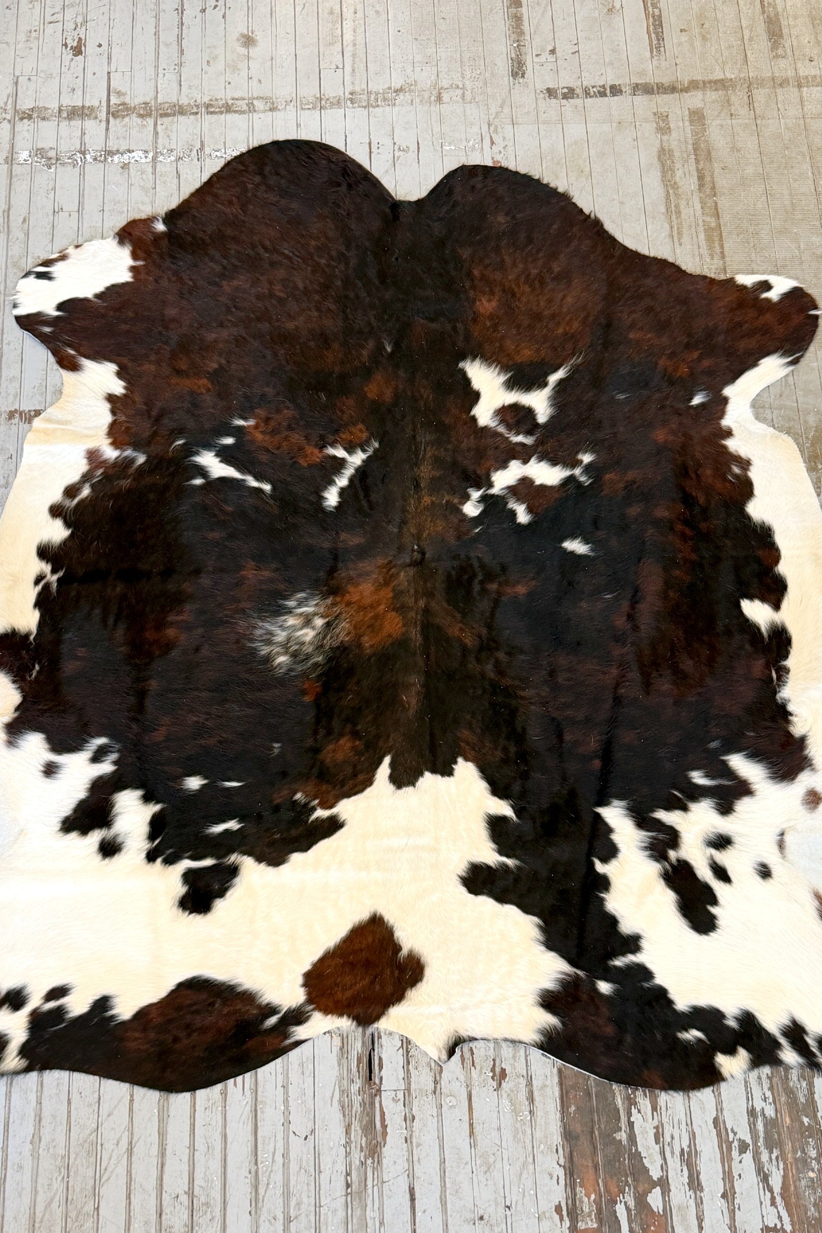 Tricolor Spotted Cowhide Rug #3140