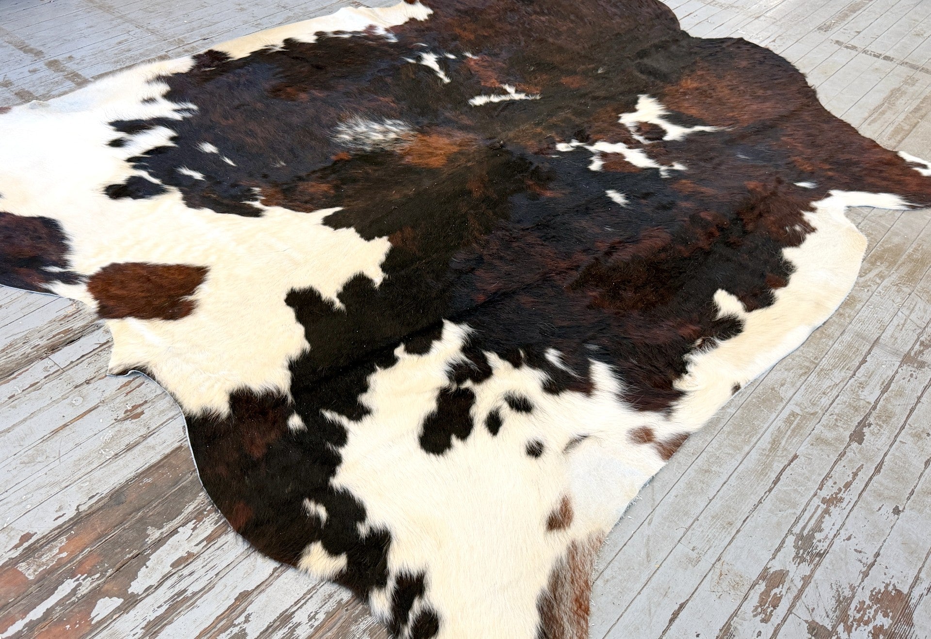 Tricolor Spotted Cowhide Rug #3140