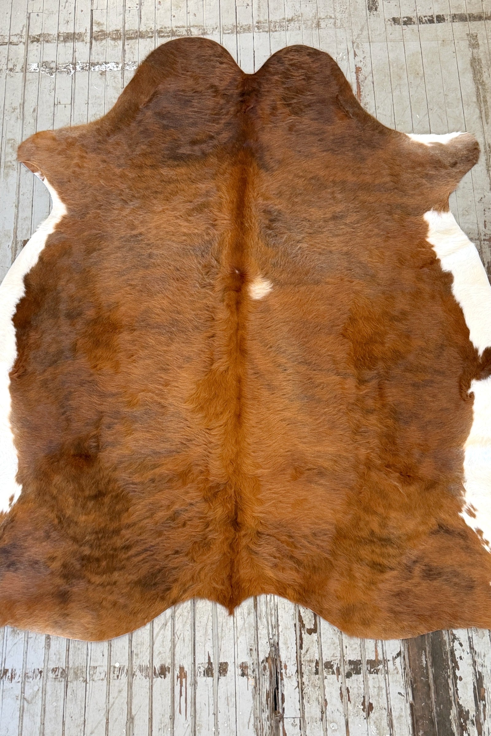 Reddish Brown Cowhide Rug #3143