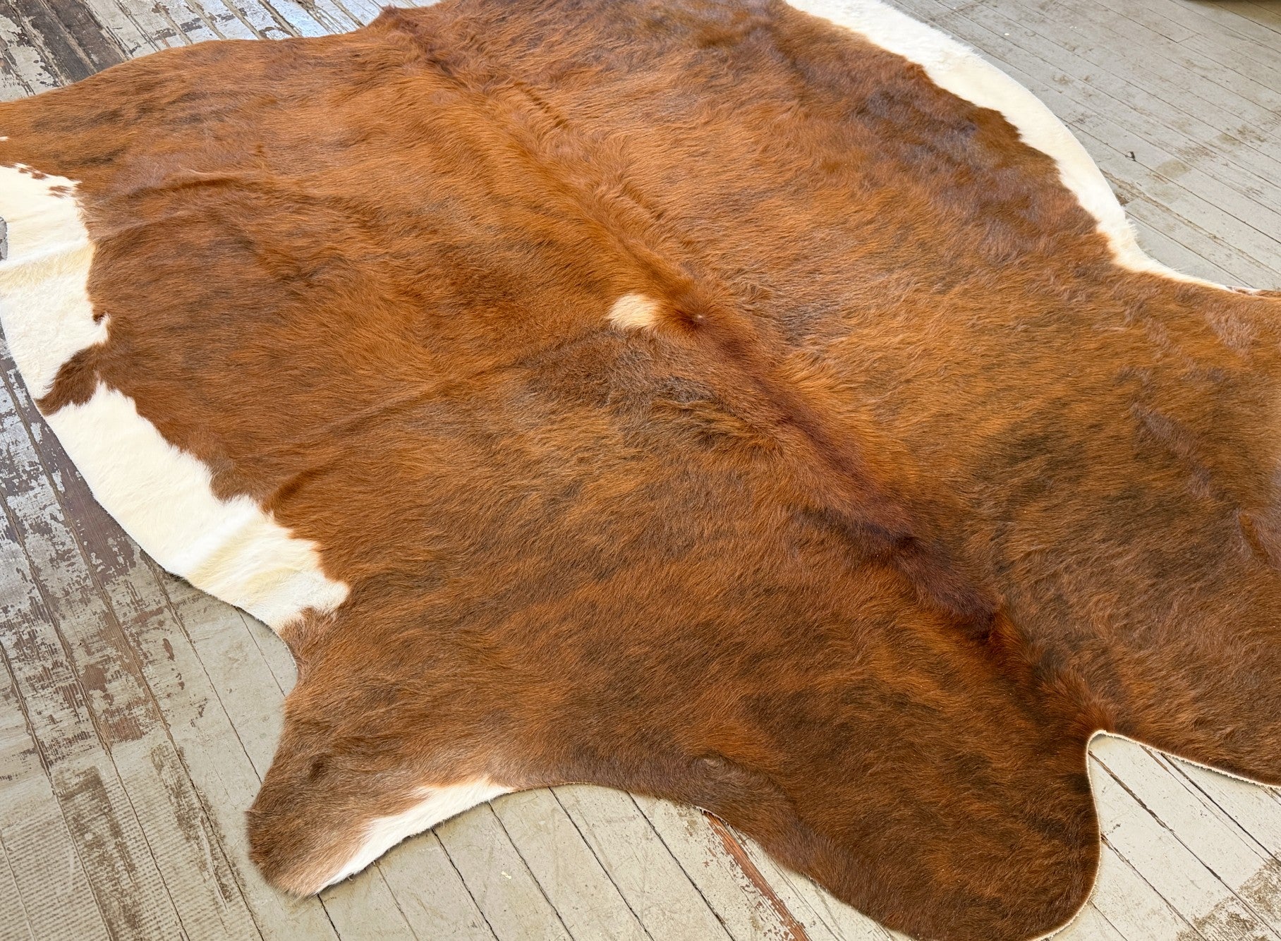 Reddish Brown Cowhide Rug #3143