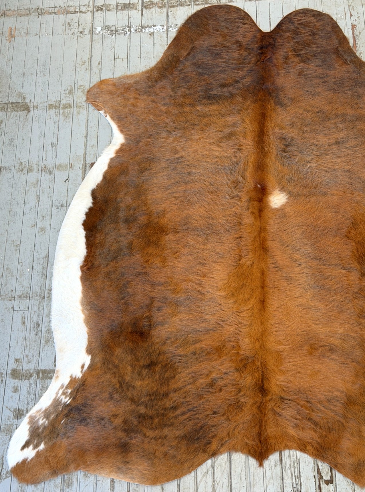 Reddish Brown Cowhide Rug #3143