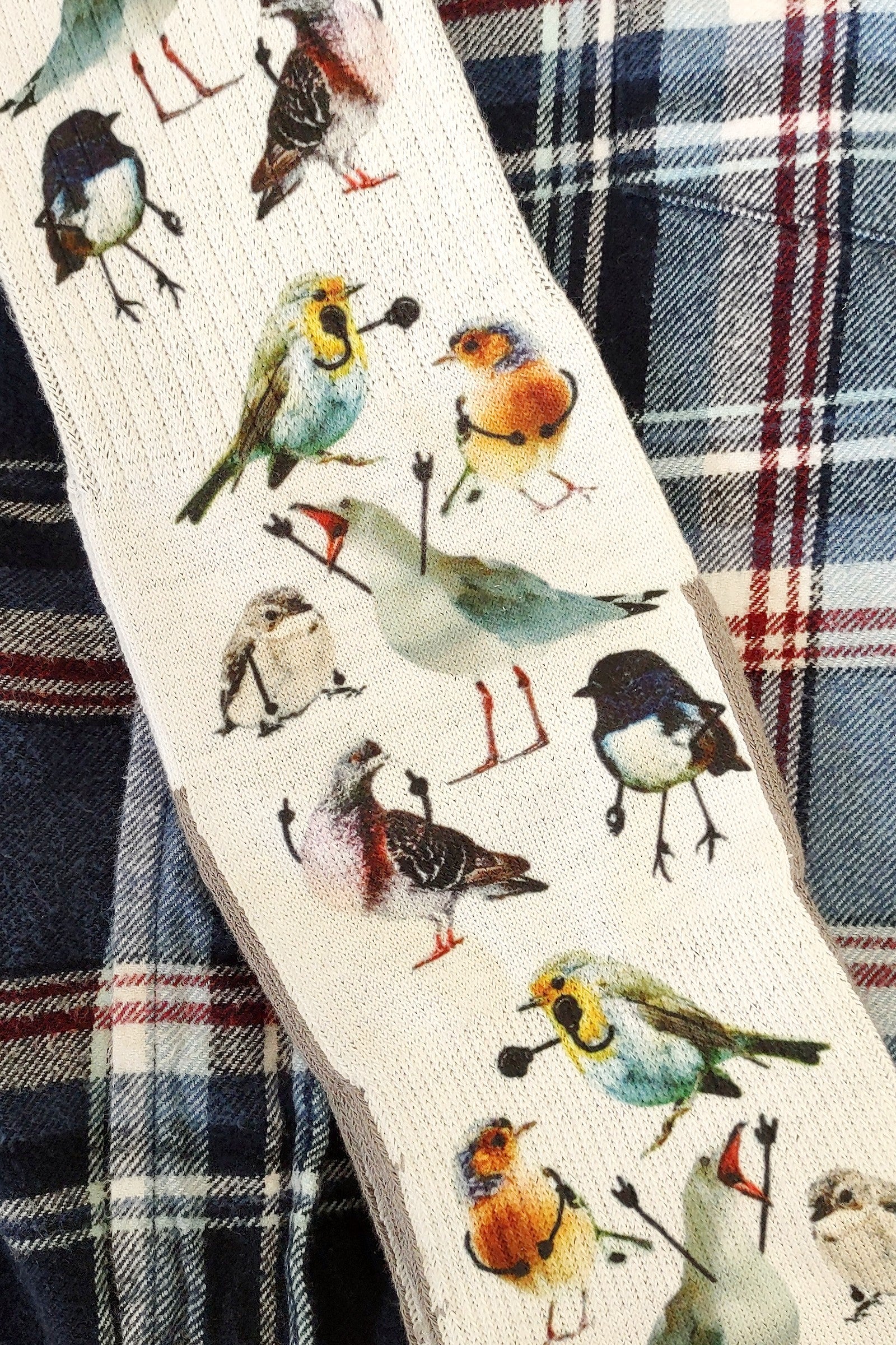 Excited Birds Men's Crew Socks