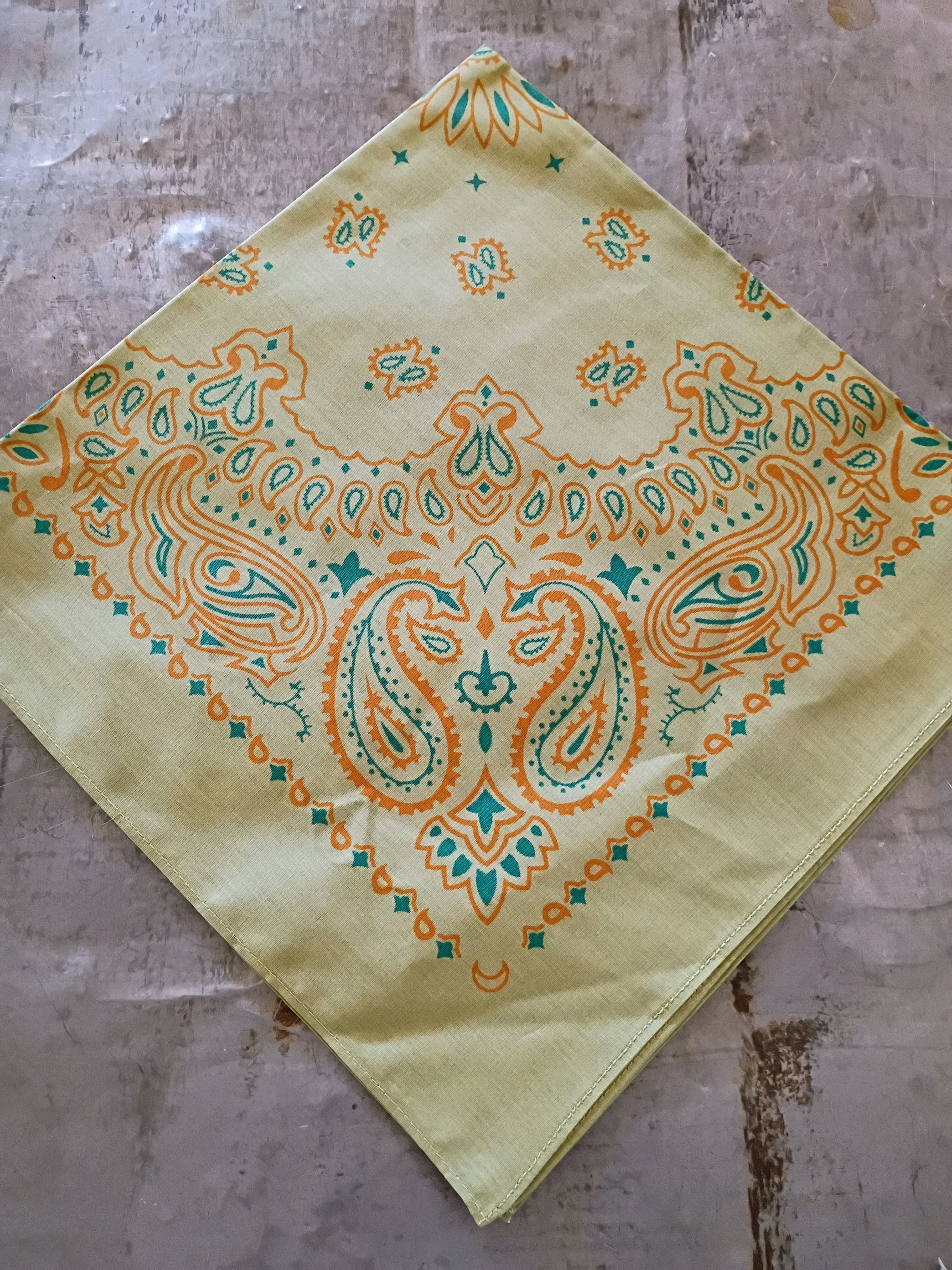 Olive & Rust Paisley Bandana