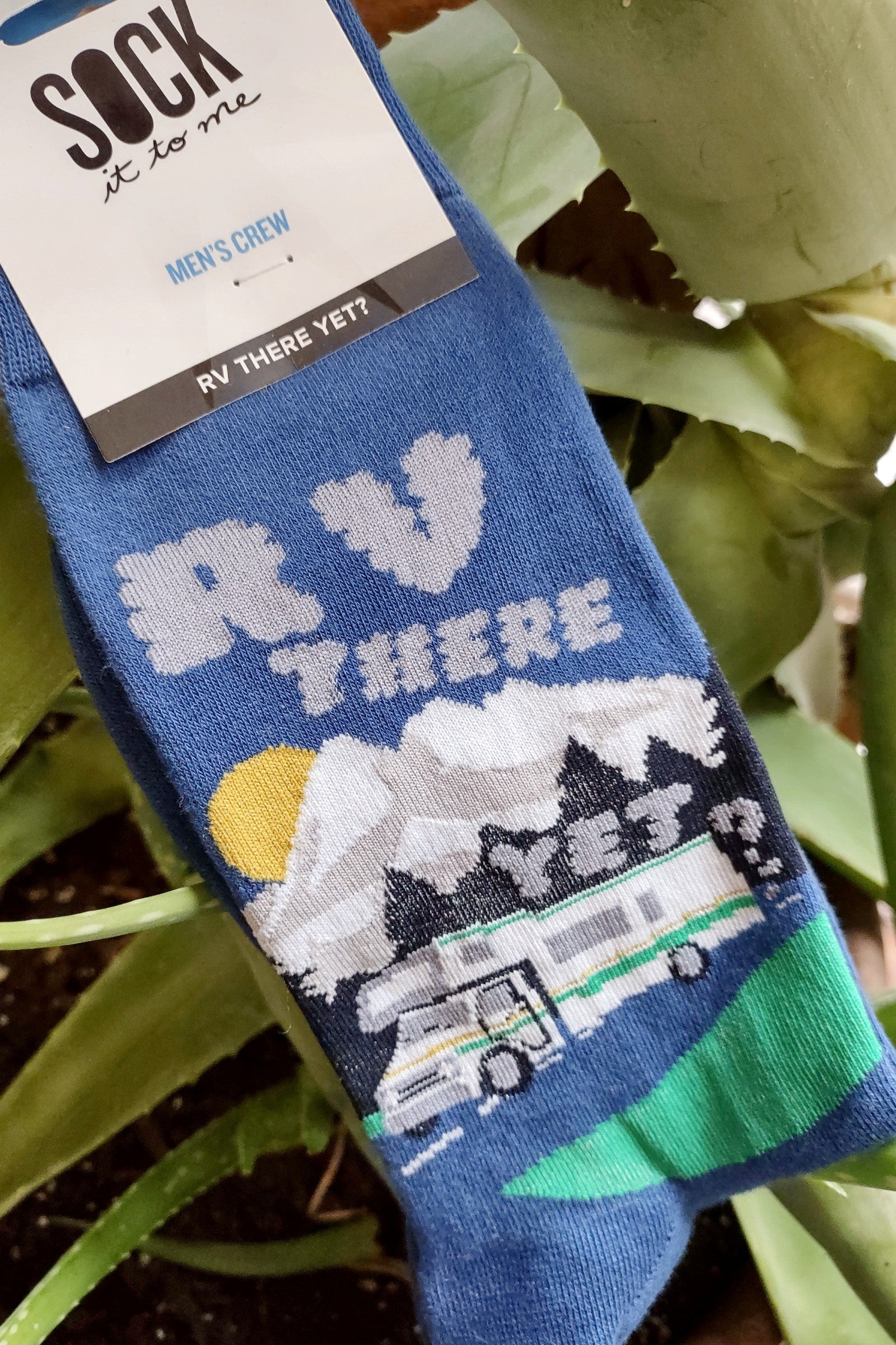 RV There Yet Men's Crew Socks