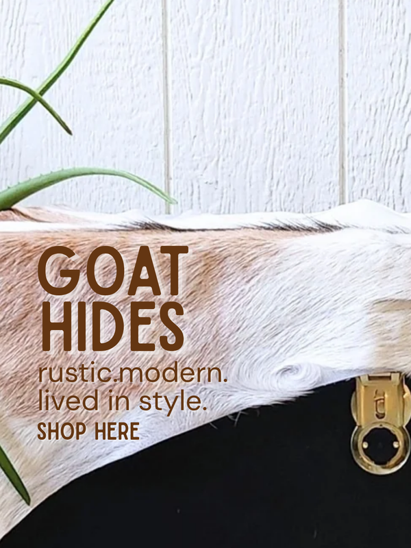 A styled product display showing a piece of natural goat hide with a brass latch, set against a white wood paneled wall with a green plant stem entering from the top left. The text 'GOAT HIDES' and 'rustic modern.