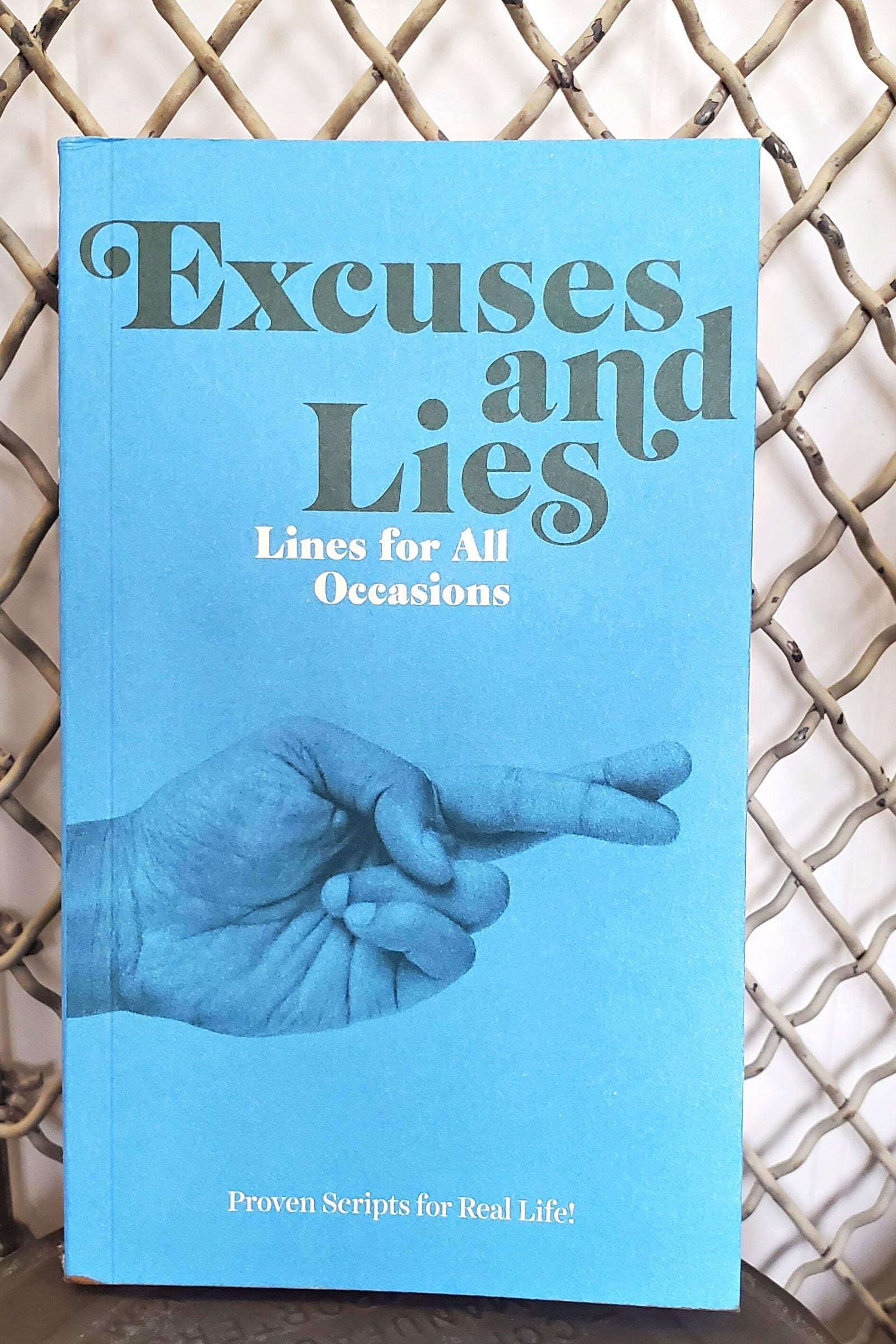 Excuses & Lies Lines for all Occasions Paperback