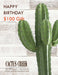 Birthday Gift Card for $100 at Cactus Creek - Green Cactus on White Barn Wood