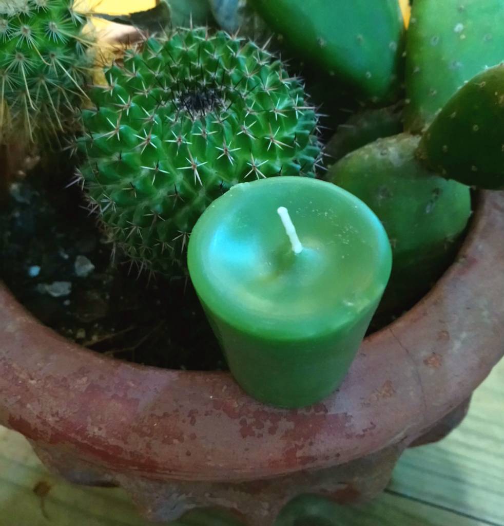 Cactus Flower Votive Candle