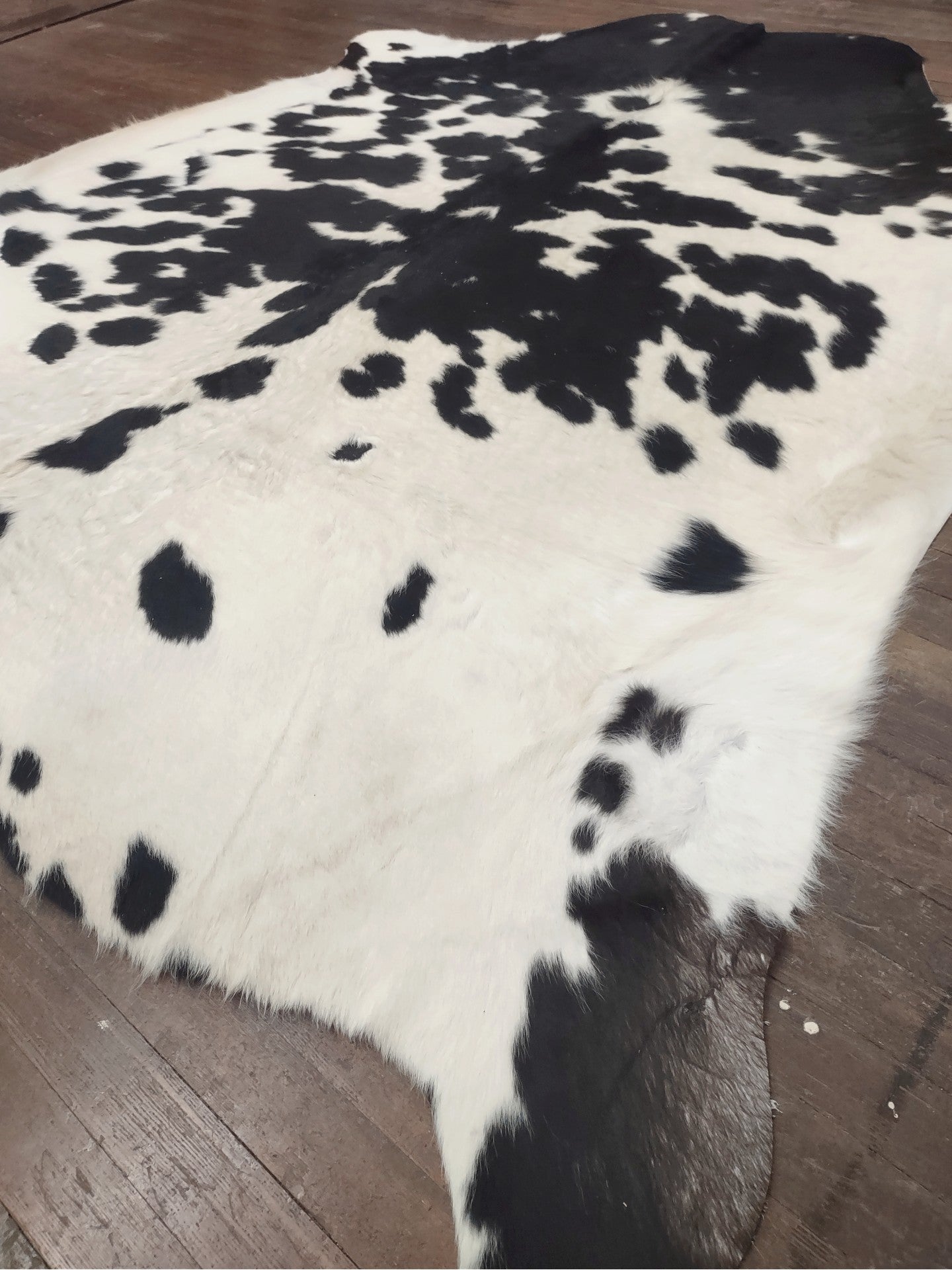 Spotted Black & White Cowhide Rug #2839