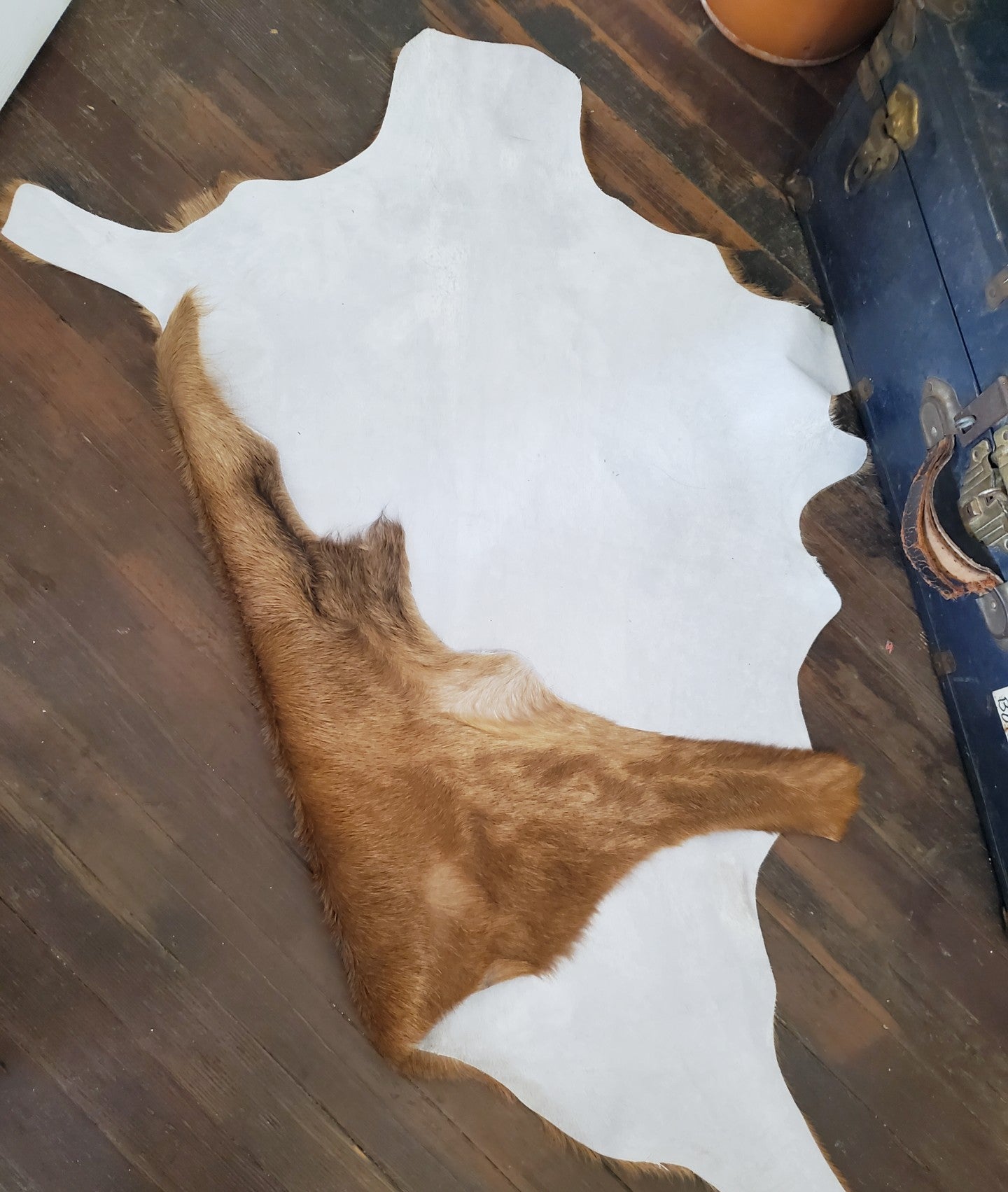 Golden Brown Goat Hide #296