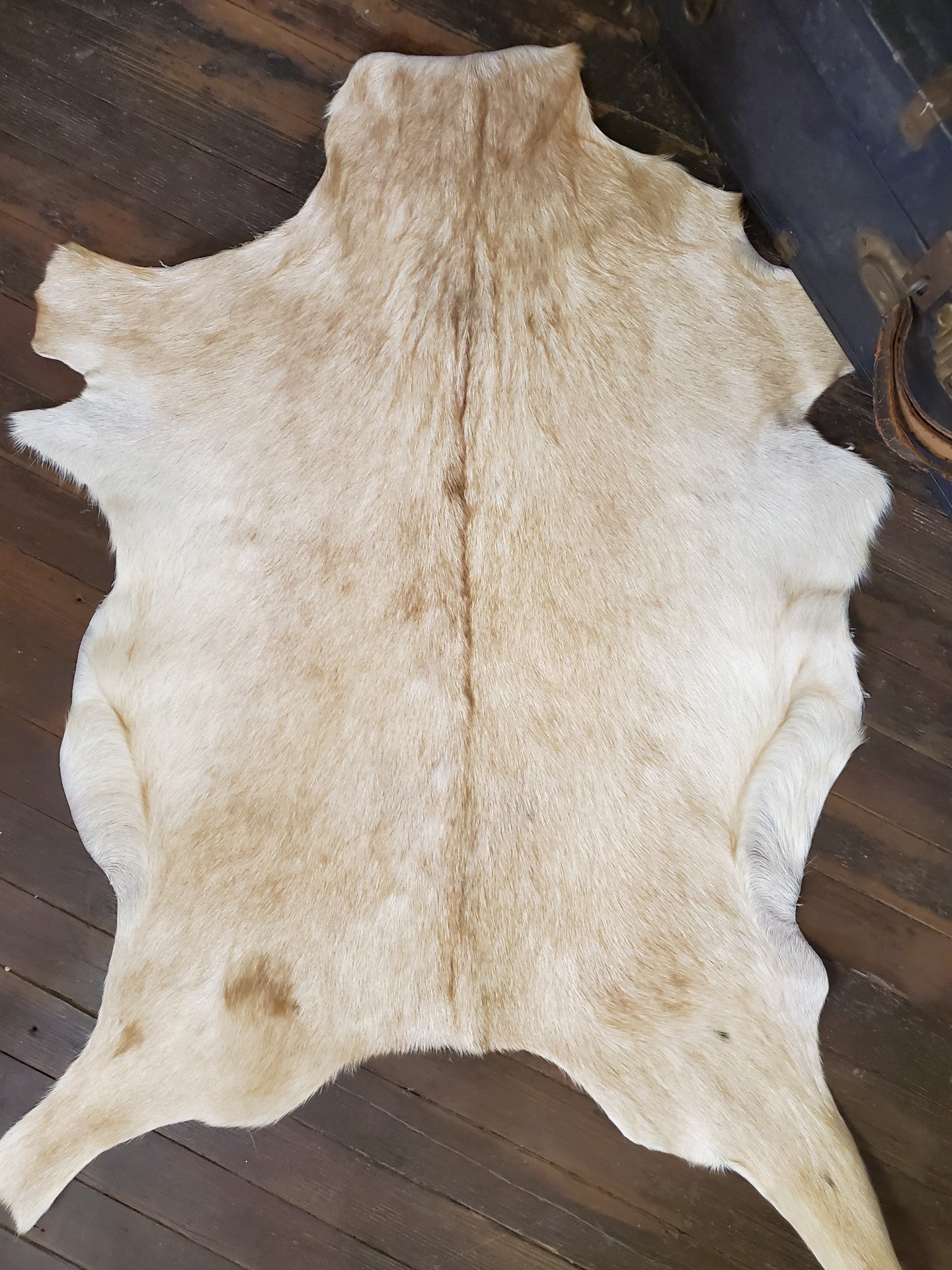 Blonde Goat Hide #304